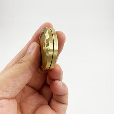 hwojjha Metal Fidget Slider Lucky Coin - Tai Chi Coin Haptic Coin EDC Toy Metal Fidget Toys, More Cycle You Played More Luck You Got, Every Dog Has His Day, All Money Go My Home (Fortune Turned)