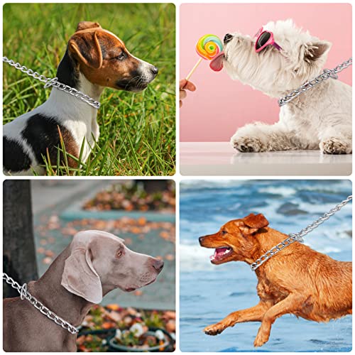 Dog Chain Collar, Pet Adjustable Metal Chain Collar Row Neck Leash Gear Choke Chain Heavy Duty Walking Training for Small Medium Large Dogs (55cm)