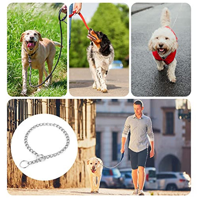 Dog Chain Collar, Pet Adjustable Metal Chain Collar Row Neck Leash Gear Choke Chain Heavy Duty Walking Training for Small Medium Large Dogs (55cm)