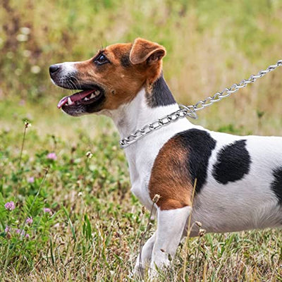 Dog Chain Collar, Pet Adjustable Metal Chain Collar Row Neck Leash Gear Choke Chain Heavy Duty Walking Training for Small Medium Large Dogs (55cm)